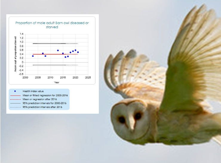 Barn owl and health indices graph screenshot