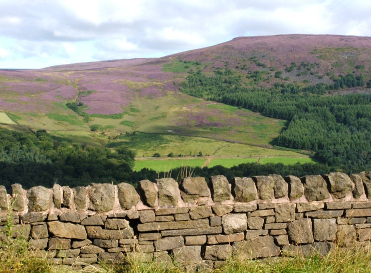 Stone wall with hills in background