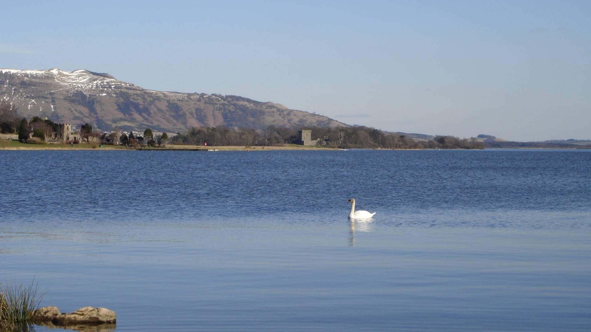 Loch Leven with a swan in foreground and the castle in the background